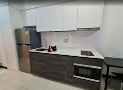 Sims Urban Oasis (D14), Condominium #579052871
